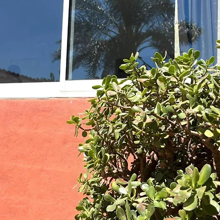 Apartment Leyda En